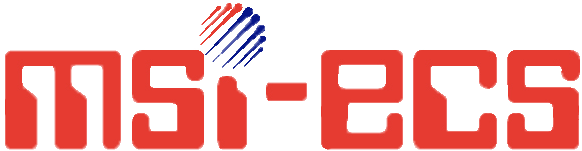MSI-ECS Logo